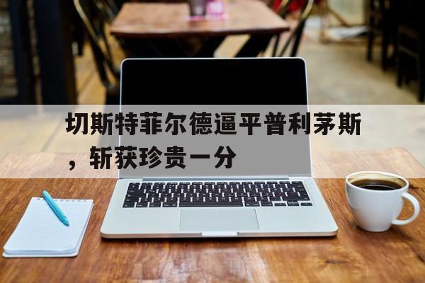 开云平台-切斯特菲尔德逼平普利茅斯，斩获珍贵一分的简单介绍