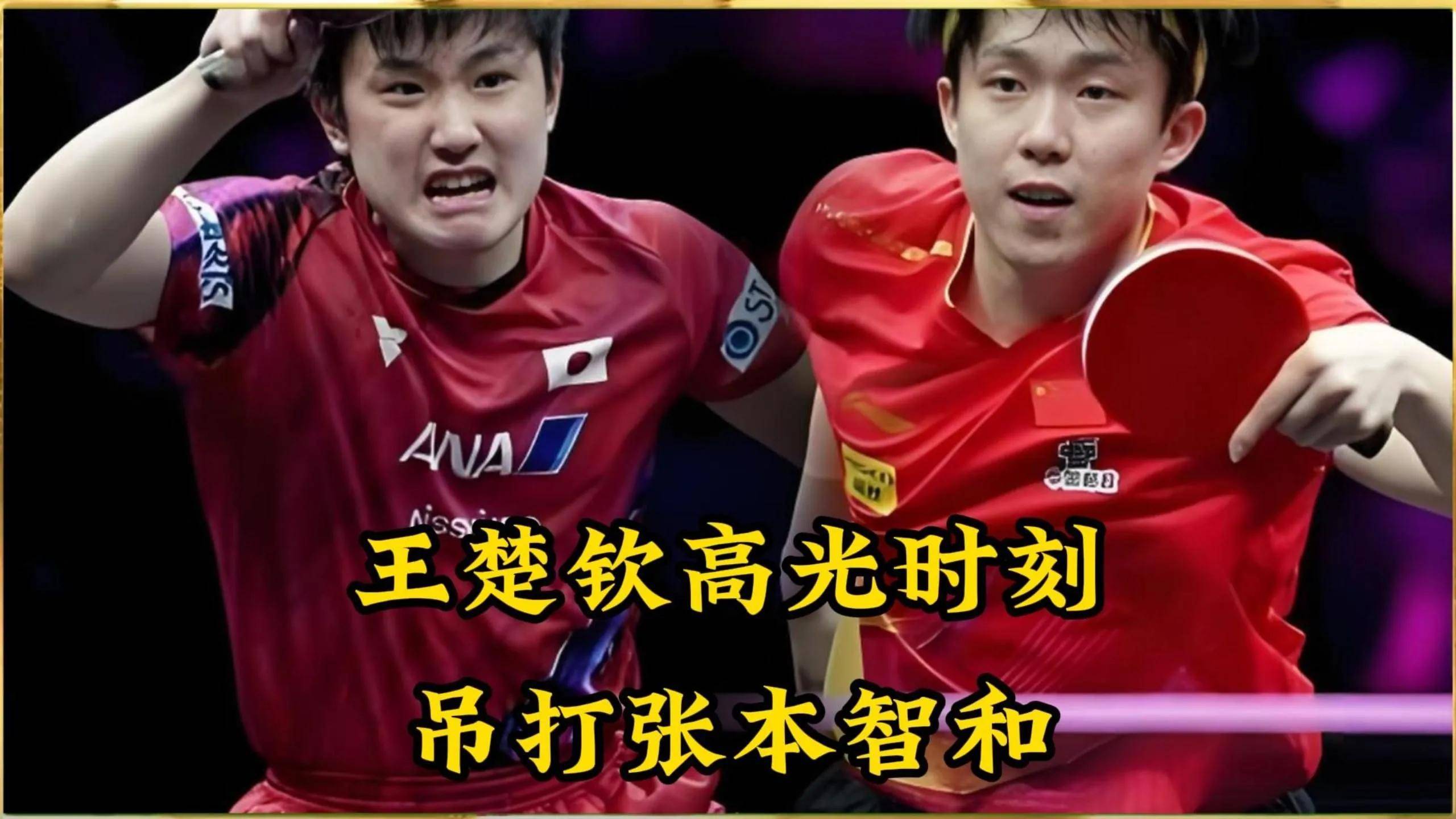 中国队碾压波兰队，张本智和带队取胜