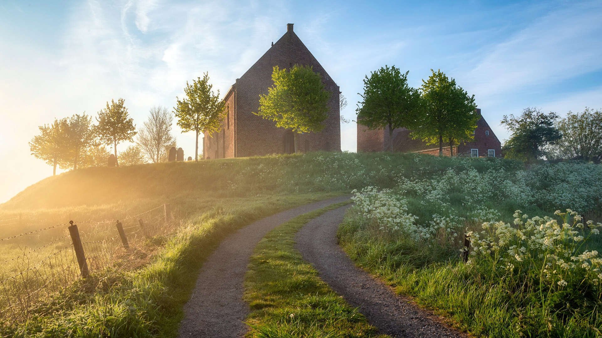 夜幕下的银色狂想，迪亚斯如何成为街道赛的心脏