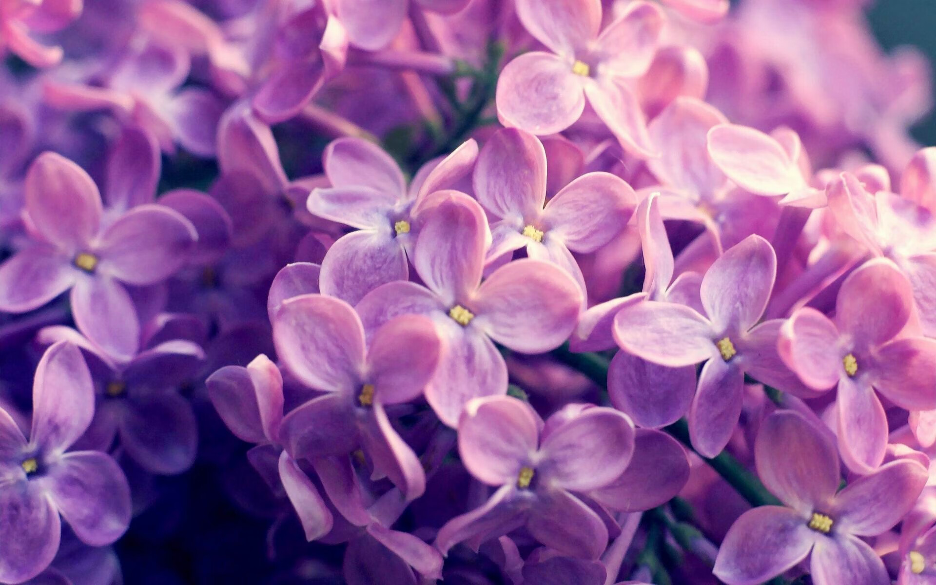 绝地闪电，哥斯达黎加生死时刻一波流带走挪威