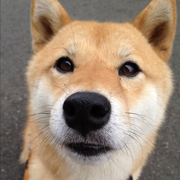 皇家社会火力全开压制牙买加，阿圭罗里程碑之夜闪耀友谊赛