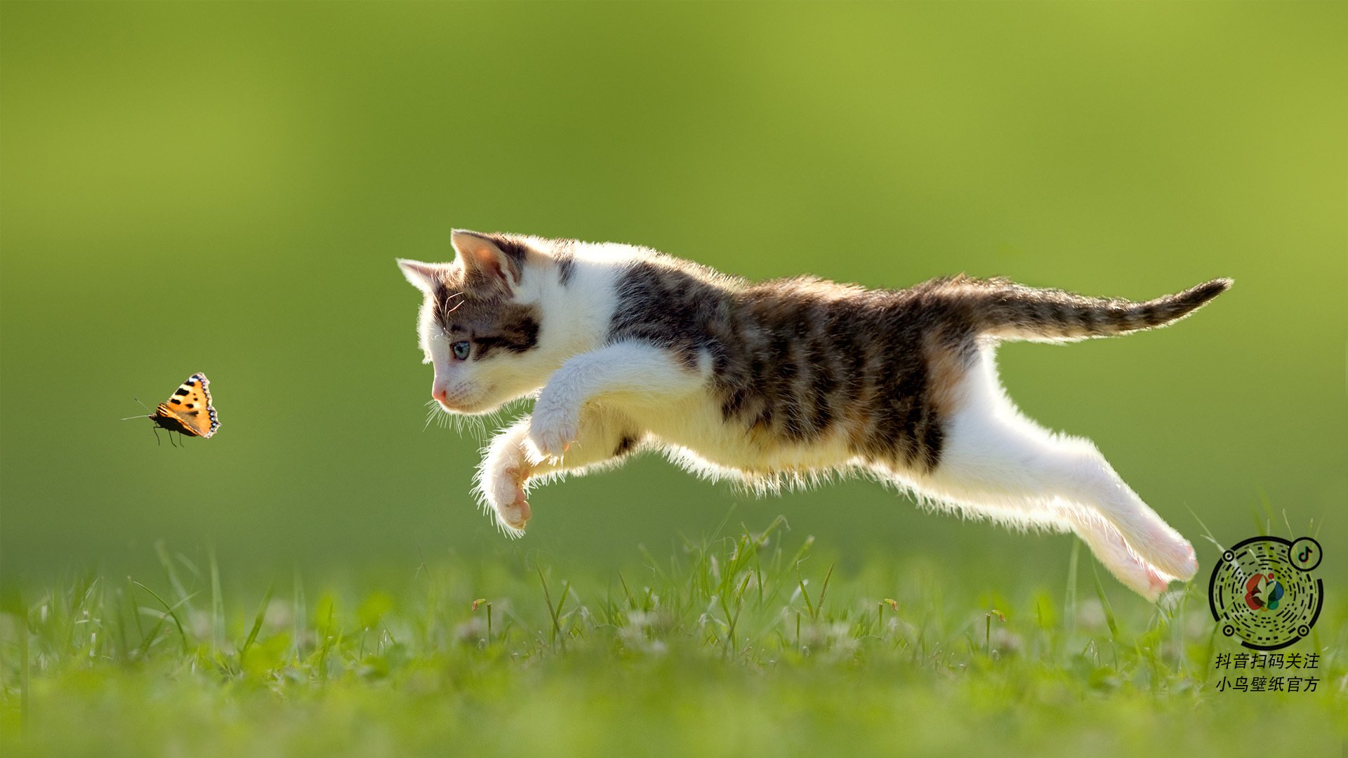 开云体育中国-一剑封喉定乾坤!塔图姆绝命三分助掘金攻克勇士主场