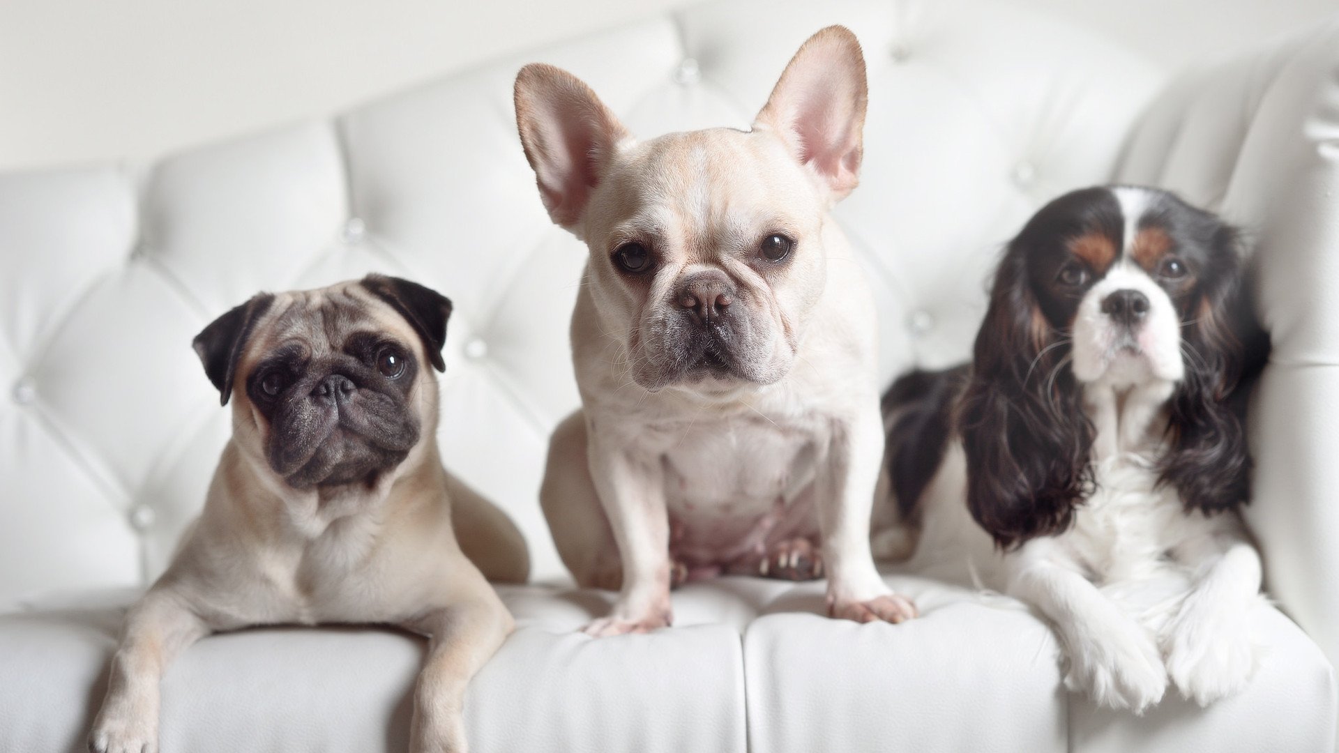 开云官网-三笘薰关键进球定乾坤,利物浦对阵沙特友谊赛激战落幕