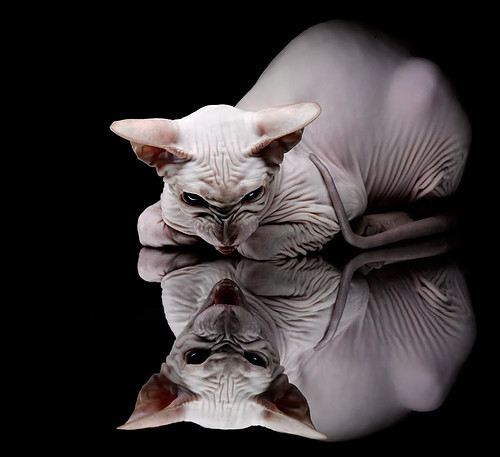 开云官网-铁血防守与战术颠覆，从东决抢七到沙特石油军对马竞的胜利启示录