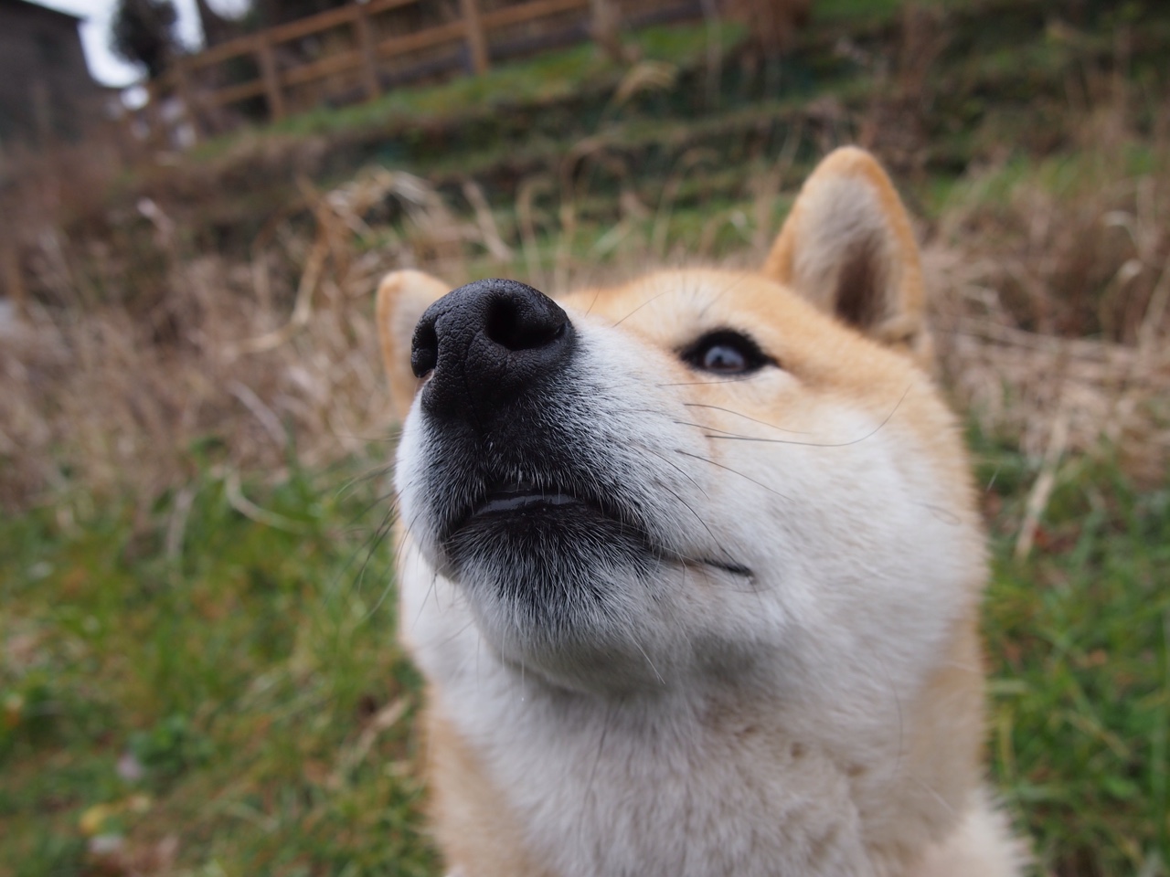 开云APP-规则之下,从北京到马德里的悬念终结者