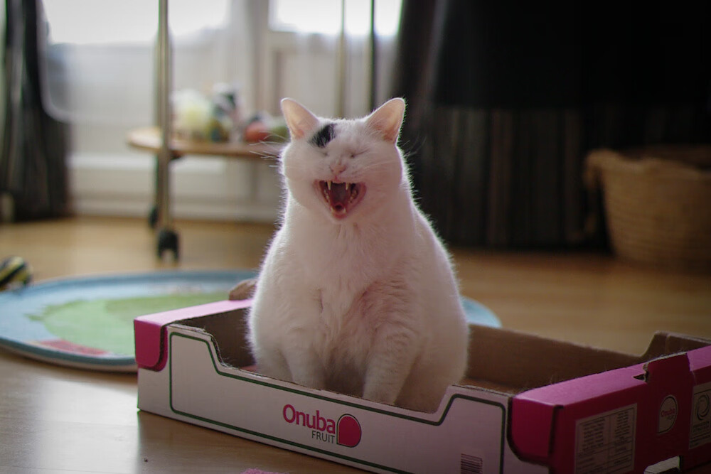 德里赫特爆发!加纳速胜勒沃库森,防守艺术与闪电战,现代足球的双面镜