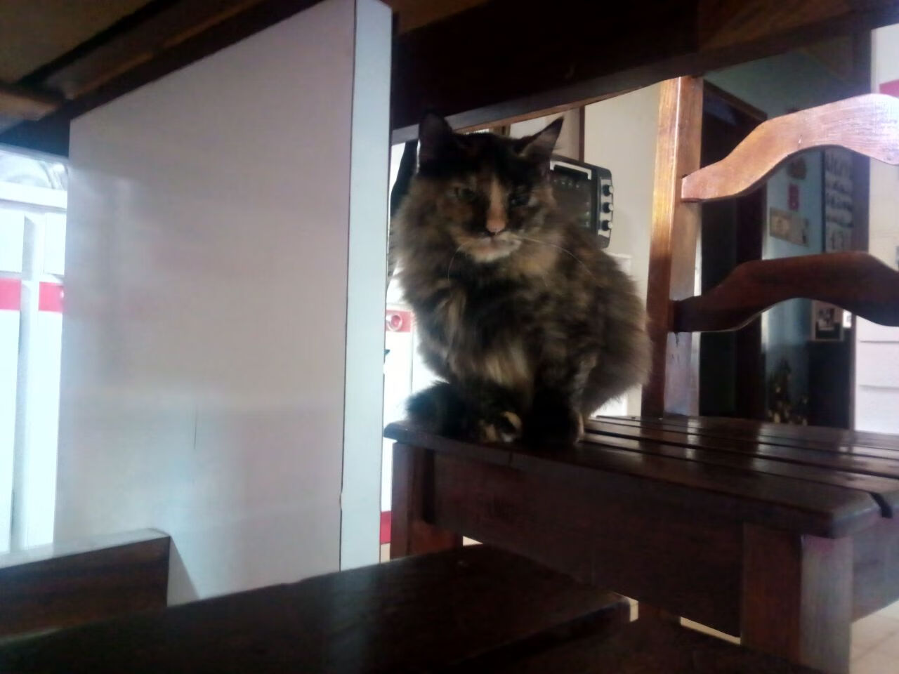 当猛龙陷入孟菲斯泥沼,库里在另一片球场定义了节奏掌控