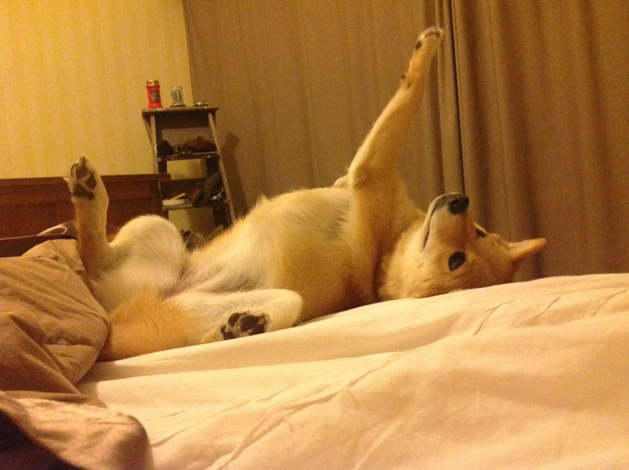 双城记,当亚特兰大鏖战绿茵,奥斯梅恩在篮下加冕